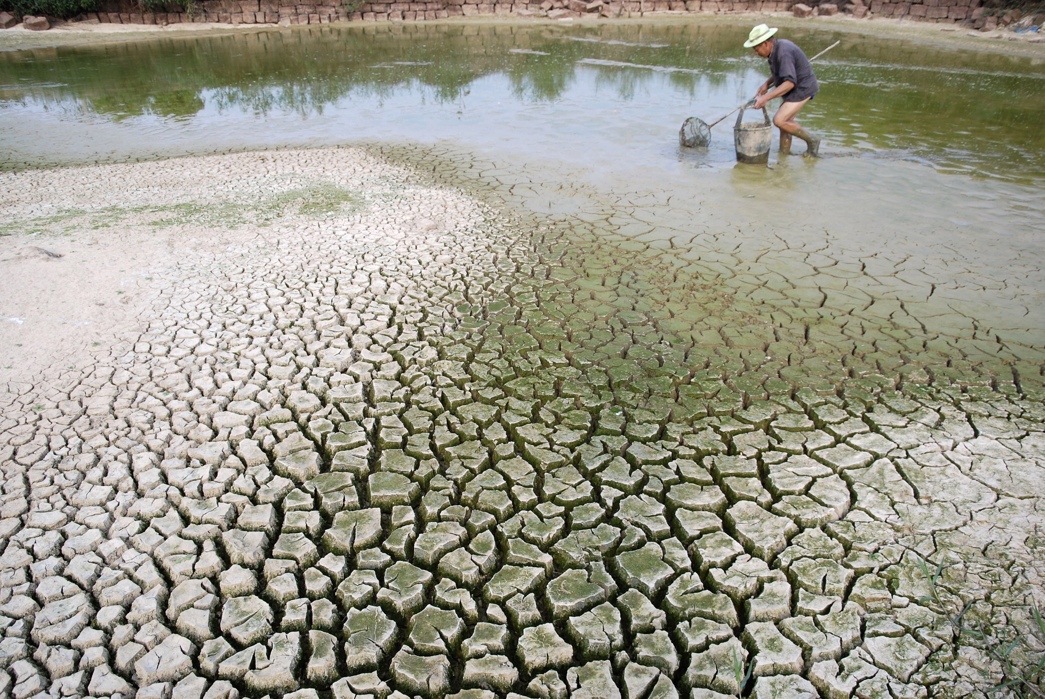 drought cracked land