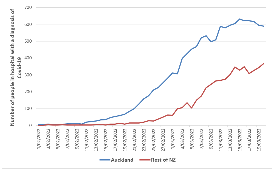 Figure Daily number of people with Covid-19 infection in Auckland hospitals