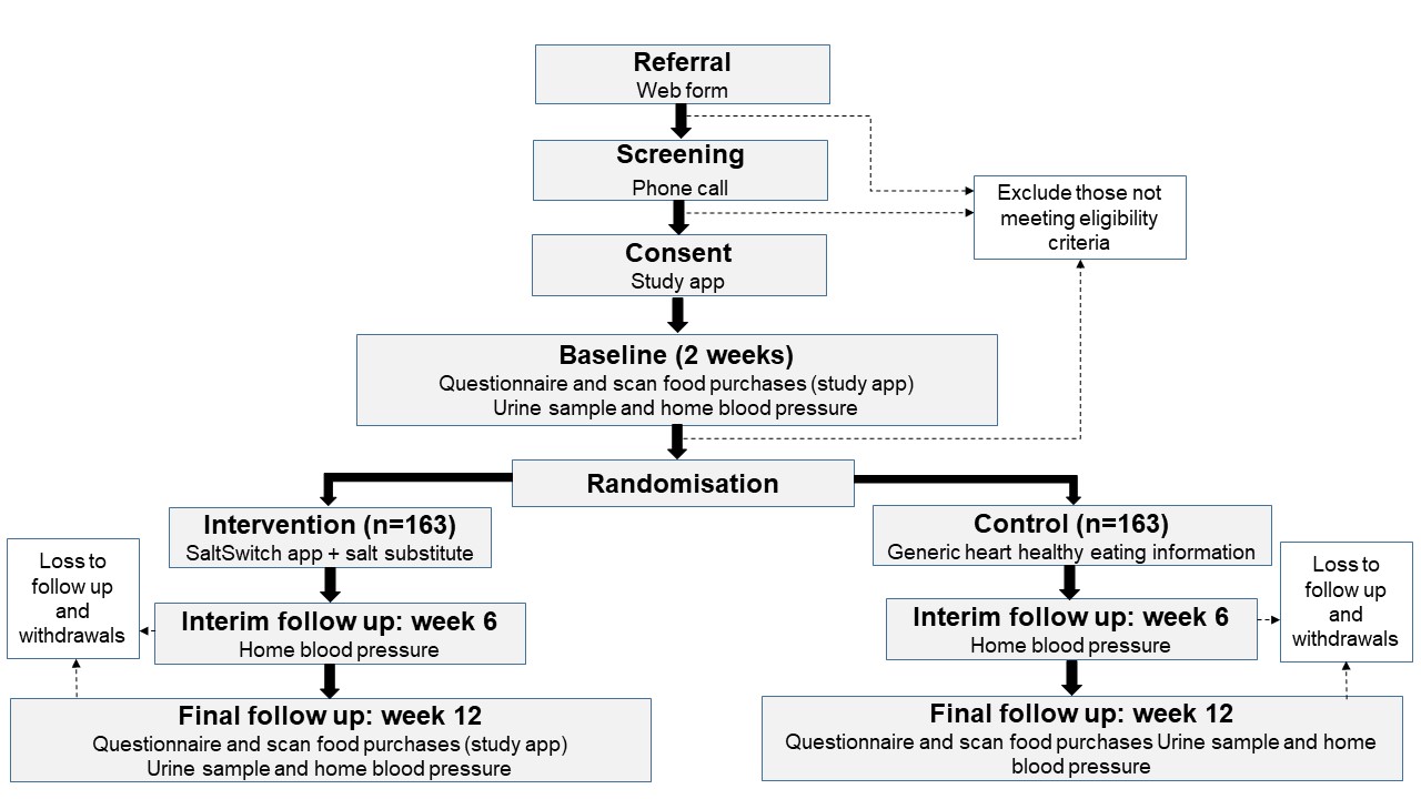 Figure-2_Flow-of-study-participants