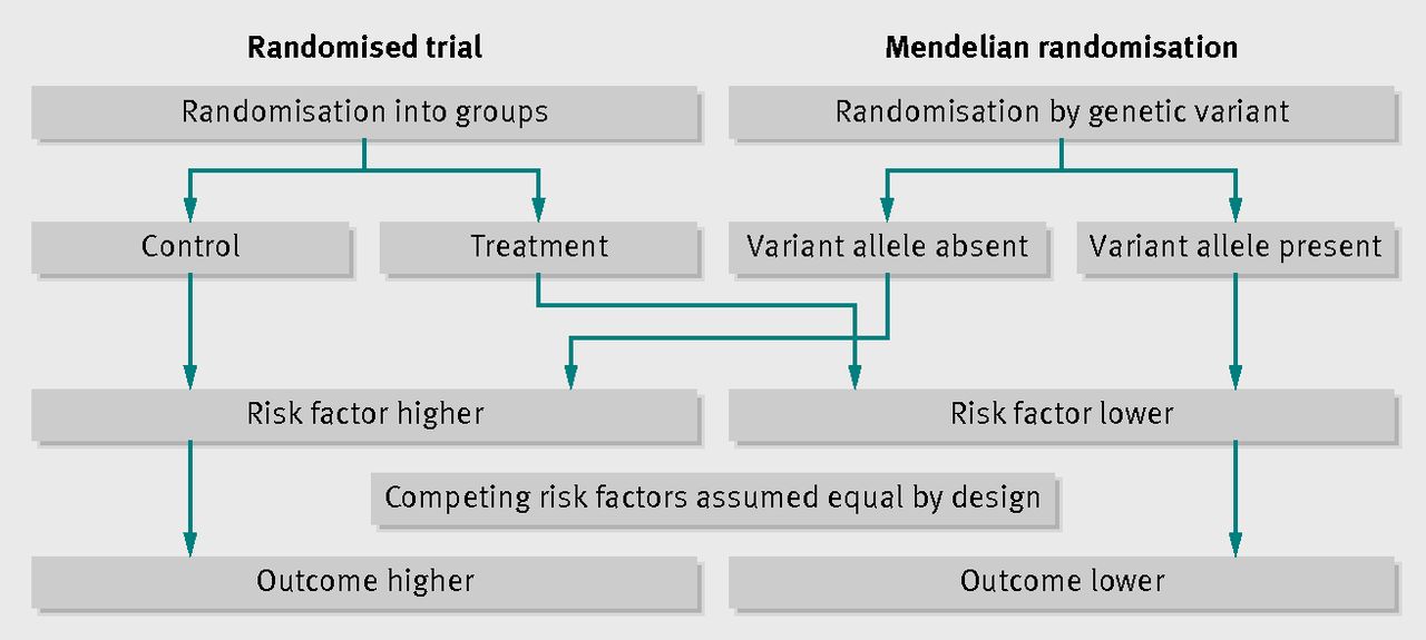 mendelian randomisation 