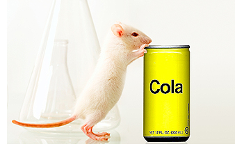 mouse looking at coke
