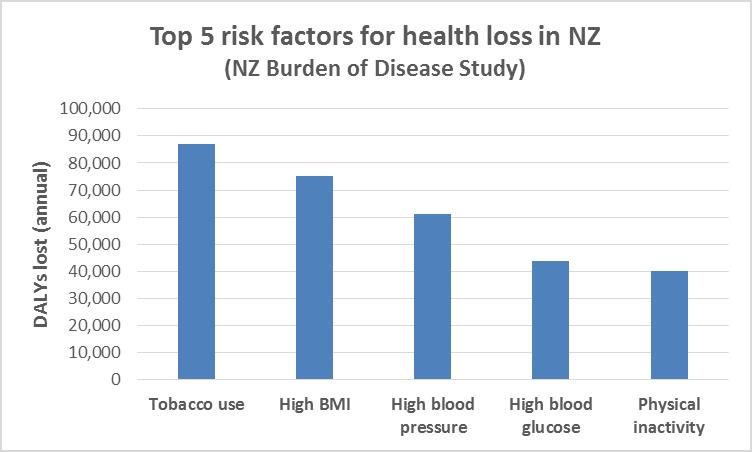 NZ Health strategy 