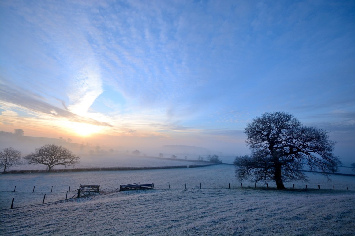 Snow field