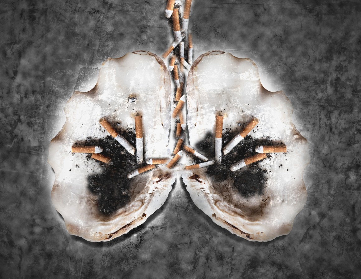 Lungs represented by shells with stubbed out cigarettes