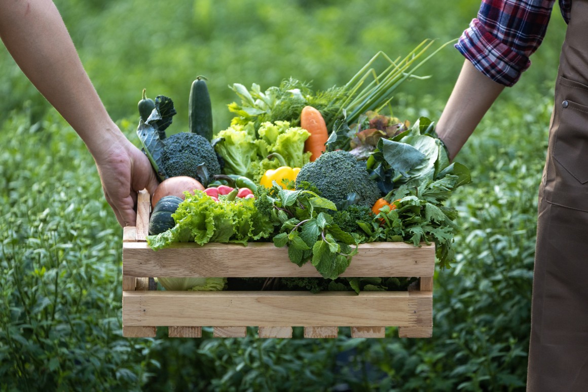 People carrying fresh produce - market/gardens