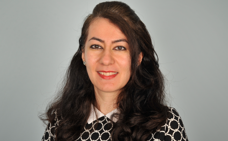 Farnaz Pourzand