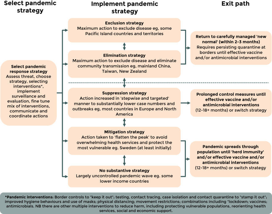 Flow diagram showing different pandemic response strategies and exit paths