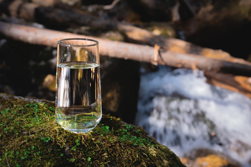 Glass of water on mossy bank