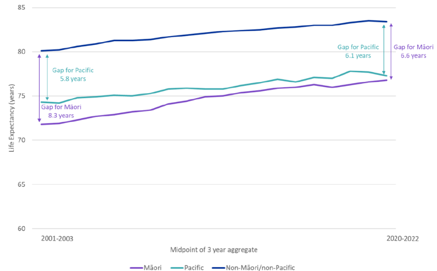 line plot showing persistent ethnic inequity in life expectancy 