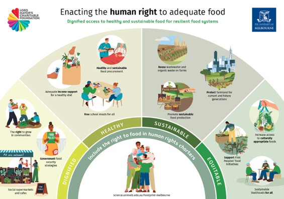 Enacting the human right to adequate food infographic