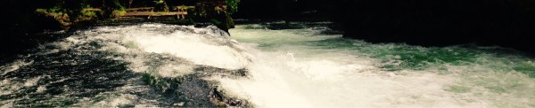 Contact banner
