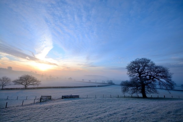 Snow field