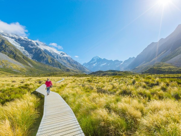 Person walking track in NZ mountains