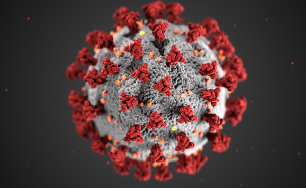 Coronavirus under micropsope