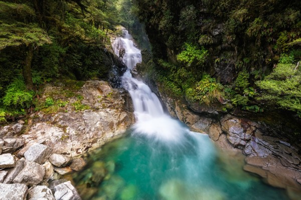 waterfall in new zealand rainforest