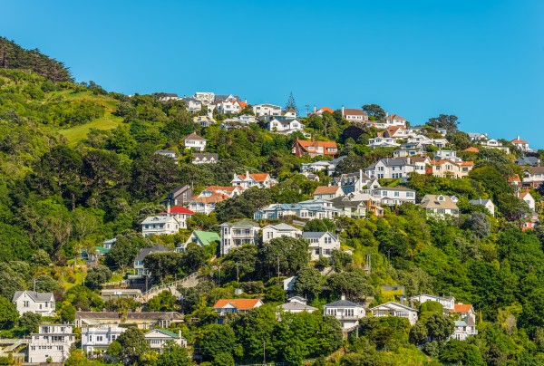 Houses and bush on Wellington hillside