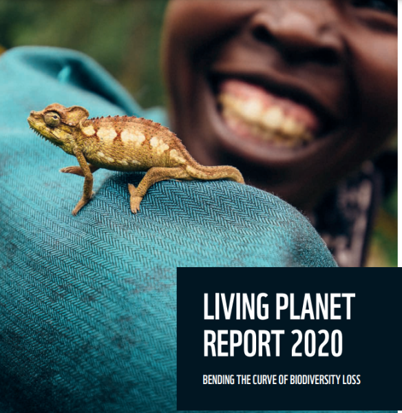 WWF living planet report cover