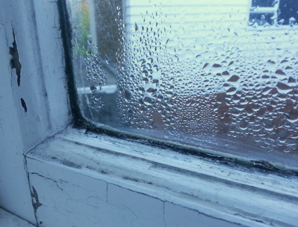 Condensation on old window