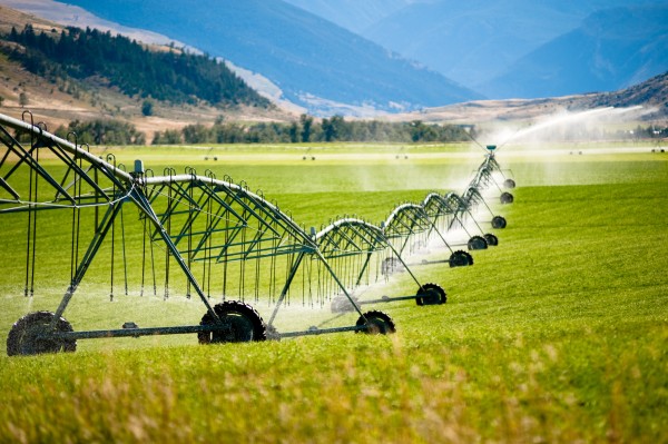 pivot irrigator on farm spraying water