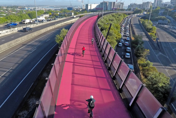 Auckland cyclists on pink cycleway next to road