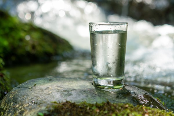 Glass of water on rock near stream