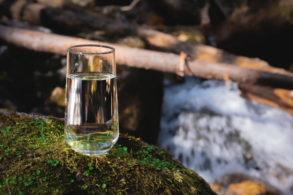 Glass of water on mossy bank