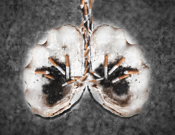 Lungs represented by shells with stubbed out cigarettes
