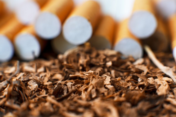The tobacco end of a lot of cigarettes piled up