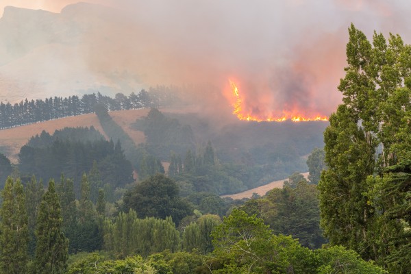 Fire down a hillside