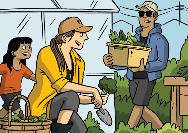 Section of community garden graphic - Toby Morris